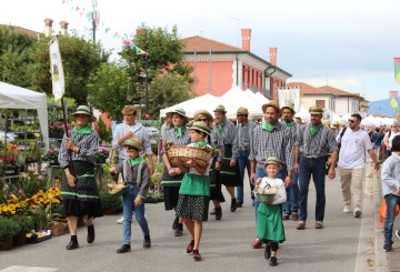 Palio dea Poenta 2024